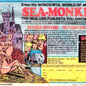 when you’re too old for Sea Monkeys.